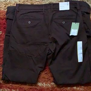 Brand new men’s dark brown chinos